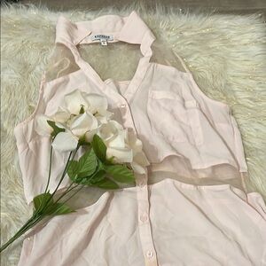 Express Pink Button Down Shirt